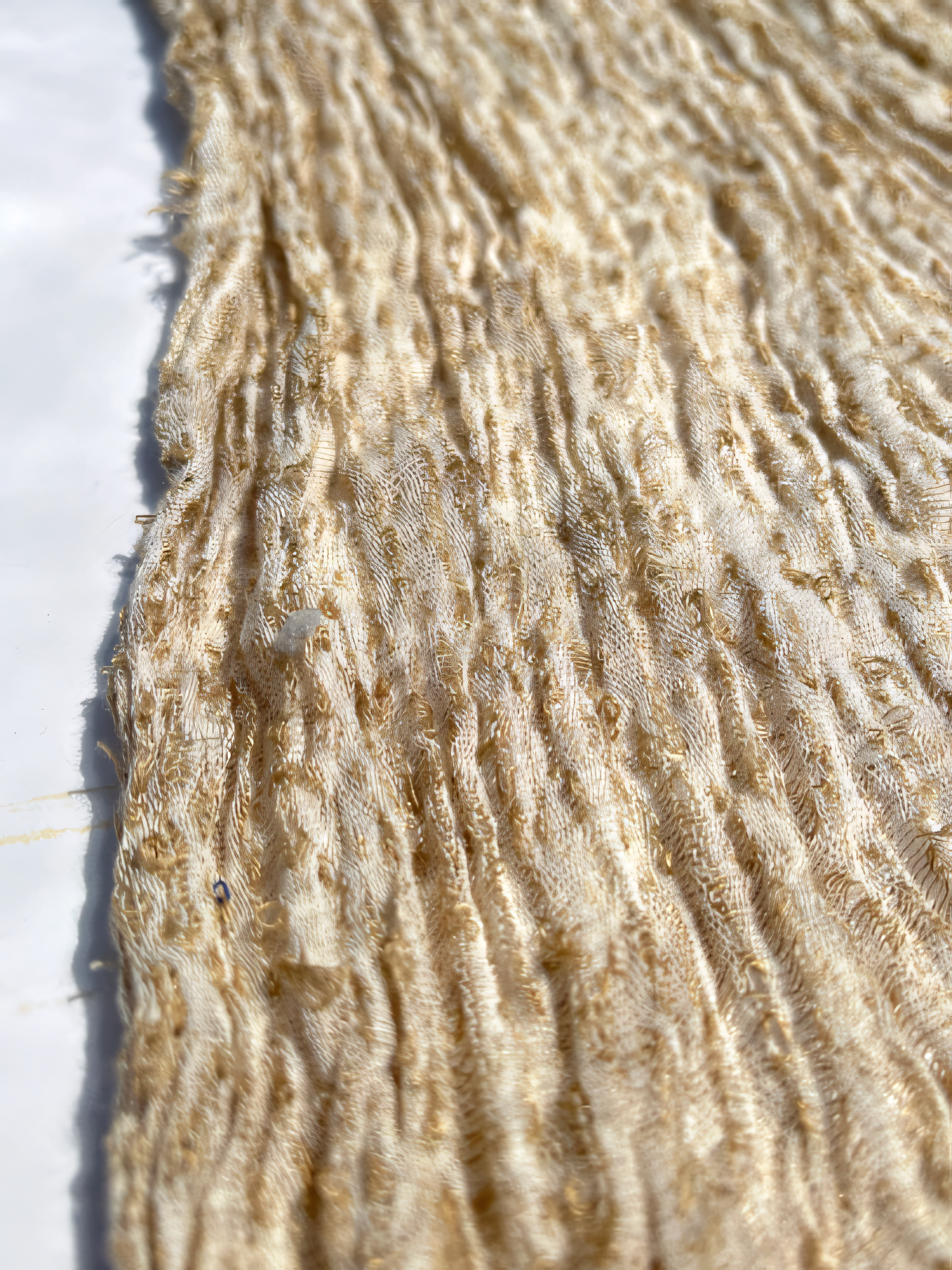 Camel Unique Natural Sheer, Textured Cotton Linen Mix Special Fabrics.