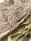 Camel Unique Natural Sheer, Textured Cotton Linen Mix Special Fabrics.