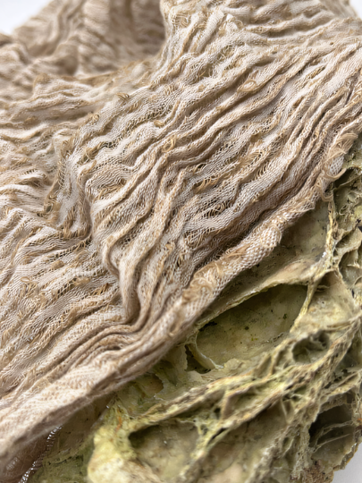 Camel Unique Natural Sheer, Textured Cotton Linen Mix Special Fabrics.