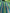 Green Striped Silk  Home Textile Interior Fabrics.