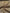 Bronze Yellow Stripes Silk Moire Home Textile Interior Fabrics, Watermark Patterns.