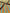 Bronze Blue Stripes Silk Moire Home Textile Interior Fabrics, Watermark Pattern.