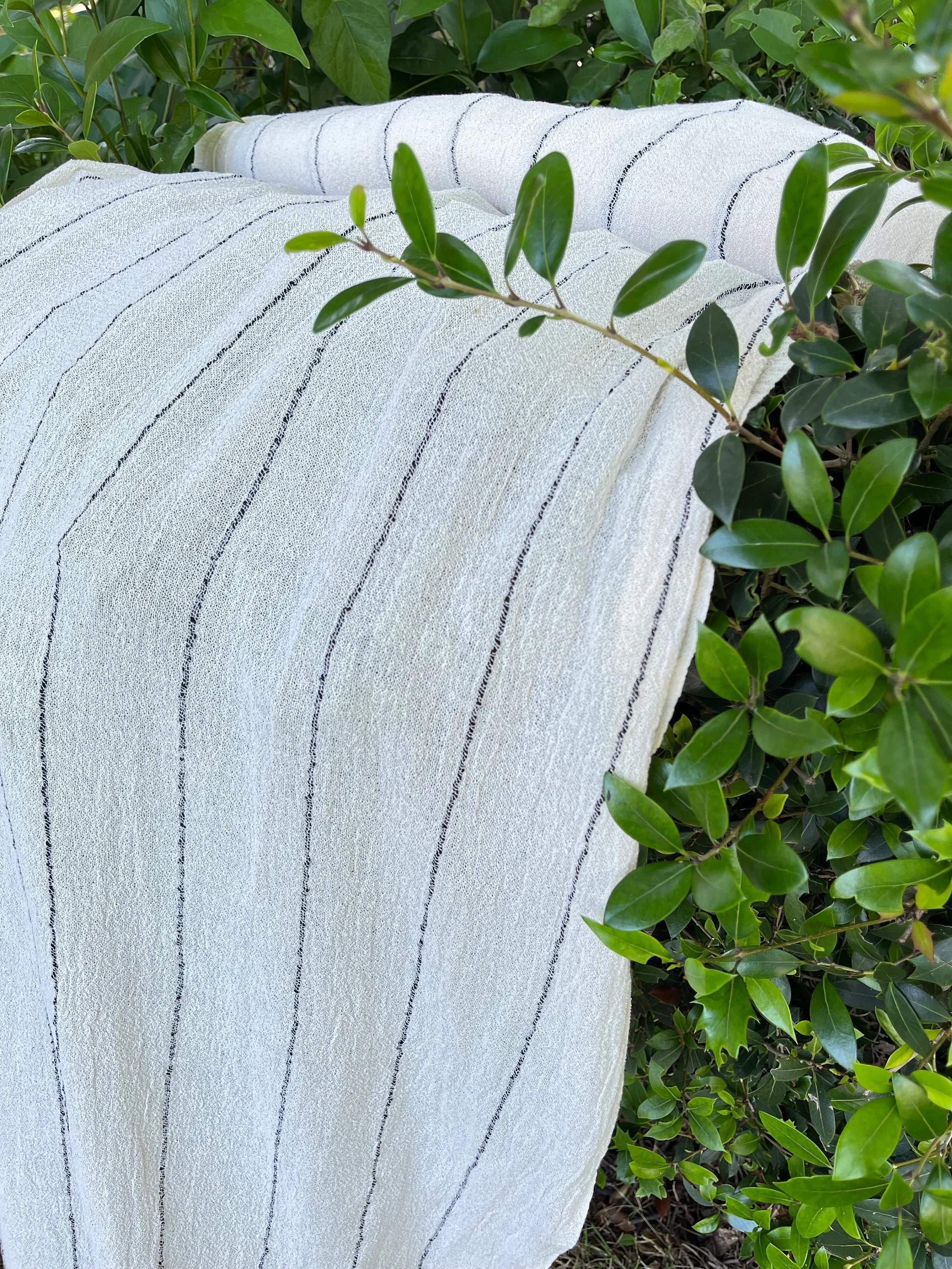 Cotton Open Weave Gauze, Sheer & Stretchy Black - White Stripes.