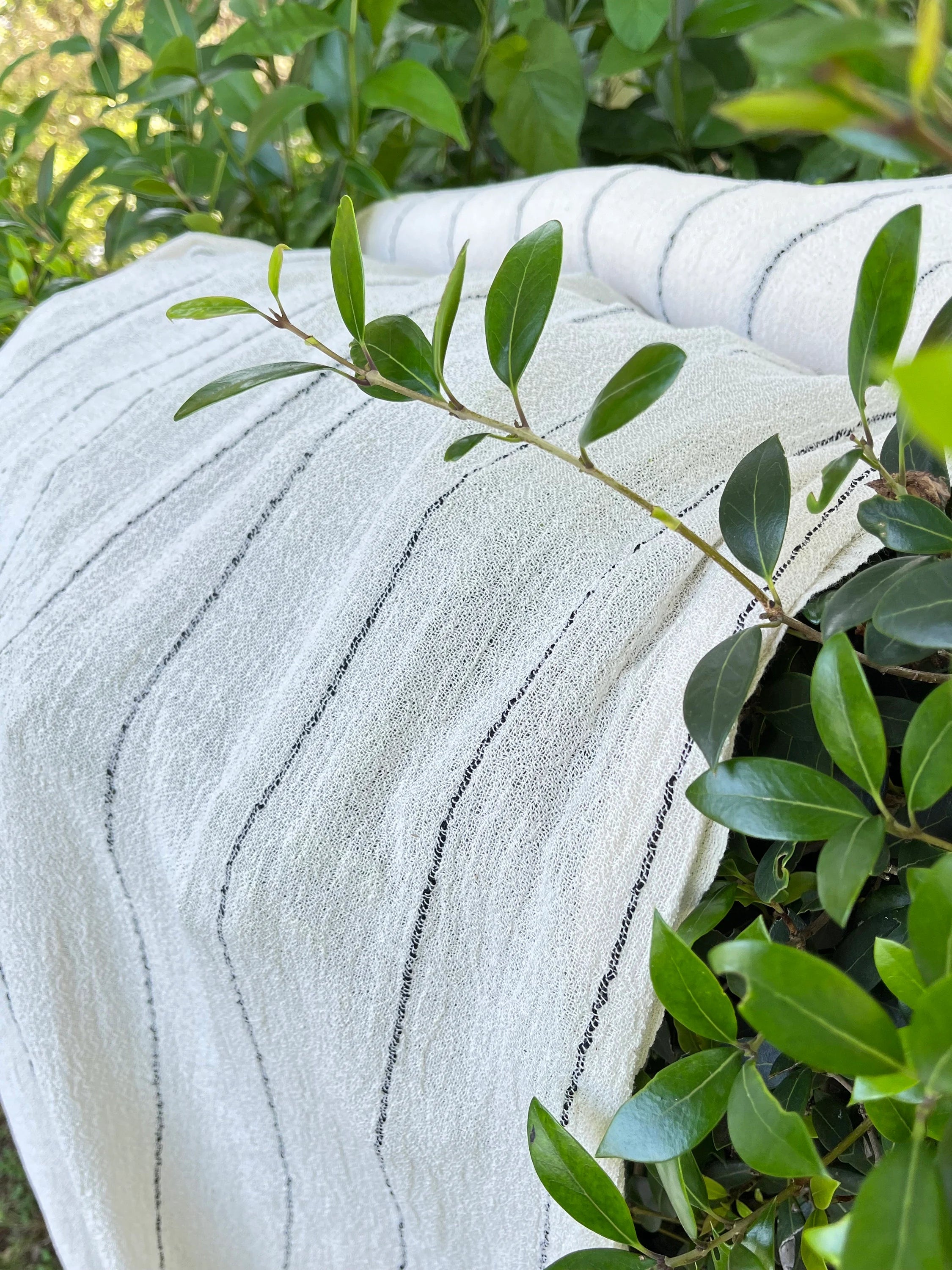 Cotton Open Weave Gauze, Sheer & Stretchy Black - White Stripes.