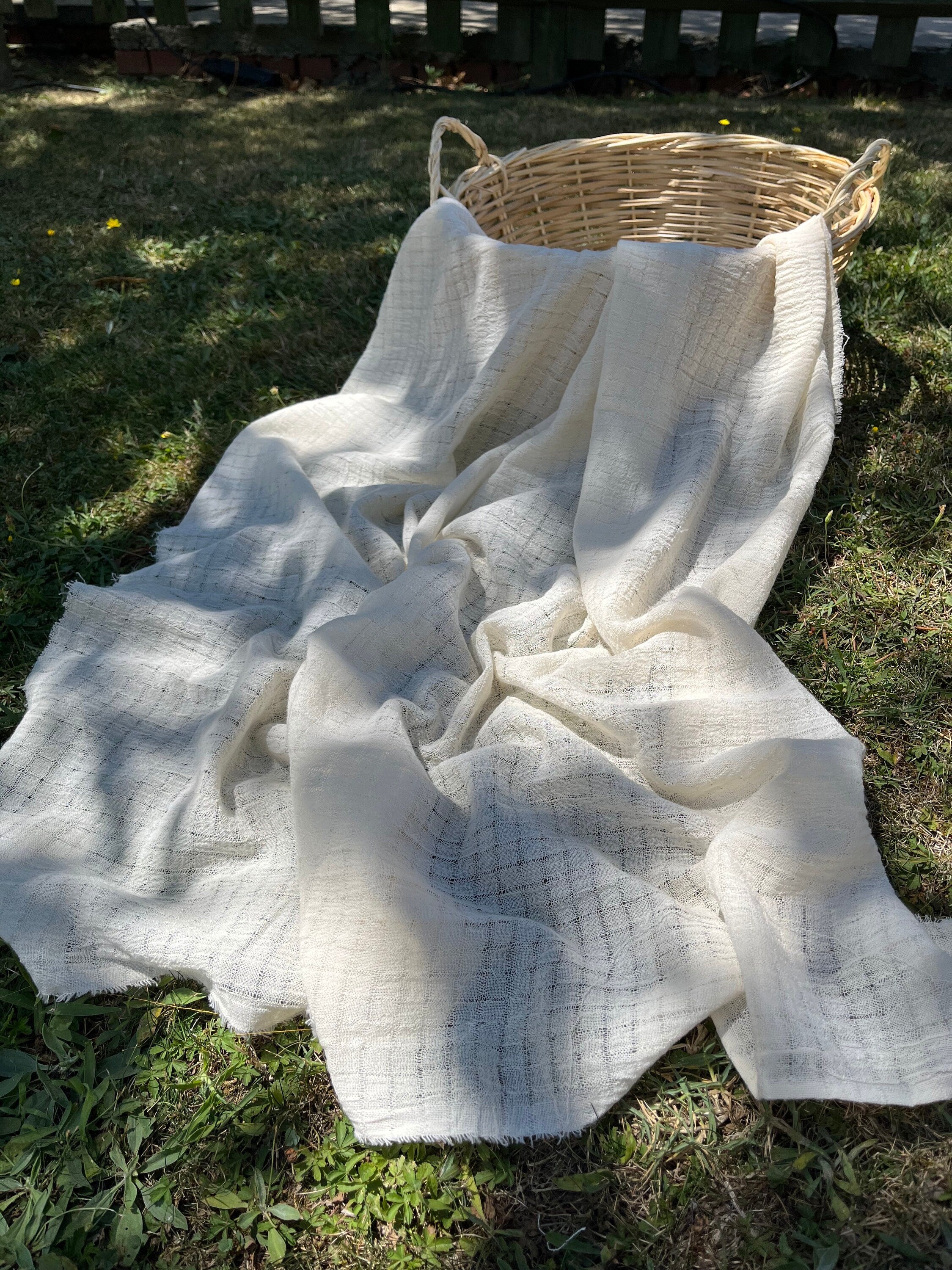 Check Weave Sheer Neutral Cotton Fabric