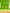 Green Ikat Stripes Luxurious Silk Moire, Home Textile Interior Fabrics, Watermark Pattern.